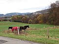 Blick von Landwehr nach Hülsen