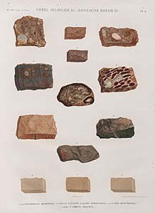 1-4. Pouddingue memnonien; 5. Caillou d'Égypte; 6.8.9. Grès ferrugineux; 7.10-12. Grès monumental; 13. Grès à ciment siliceux