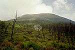 Mountain landscape with trunks of trees or shrubs that appear to have burned.