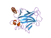 2bio: HUMAN P53 CORE DOMAIN MUTANT M133L-V203A-N239Y-R249S-N268D