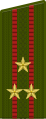 Rússia (polkovnik / полковник)