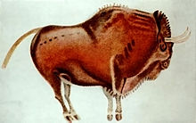 Bisonte de Altamira.jpg