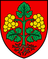 Bezirk Raron