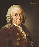 Linnaeus