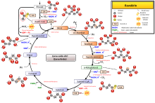 Citricacidcycle ball ku.svg