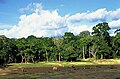 Image 9Dzanga-Sangha Reserve (from Central African Republic)