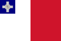 Bandera no oficial (1943-1964)