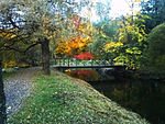 Gavleån in Boulognerskogen, Gävle