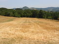 Hamlet of Parac is located in village Grabovica (Gornji Milanovac, Serbia) and view on Treska peak