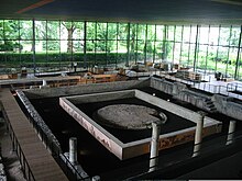 Photo of the Vesunna site.