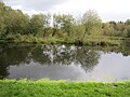 Mühlenteich bei der Bullmühle in Siedenbögen