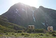 EL BABOR Mountains.jpg