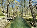 Kehrbach im Akademiepark in Wiener Neustadt