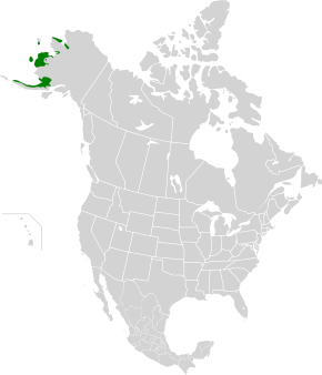 Description de l'image Beringia lowland tundra map.svg.