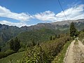 Monte Camiolo di Cima, fondo dei Bendoi e sullo sfondo Magasa e monte Denai