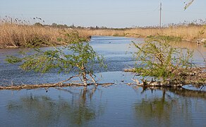 Kalmius River, Sartana