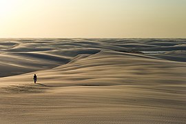 Dunes dans le parc.