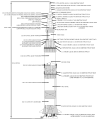 Saturn V schematic