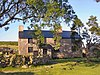 Ditsworthy Warren House shuttered and looking abandoned; ash tree in foreground; low stone walls