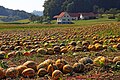 Vorschaubild der Version vom 00:53, 19. Nov. 2016