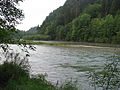 Mündung der Loisach (von rechts) in die Isar