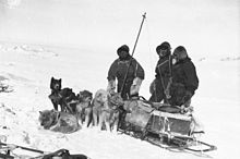 Mertz, Ninnis et Murphy près d'un traîneau.