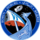 Logo von SpaceX Crew-6