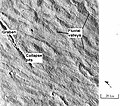 Canaux et creux sur un flanc d'Alba Patera. Certains ont été créés par des coulées de lave mais d'autres sont probablement dus au ruissellement de l'eau.