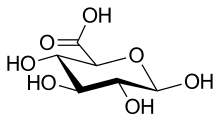 Beta D-Glucuronic acid.svg