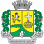 Coat of arms of Rochedo de Minas