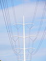 A tubular pylon, or muguet (lily) pylon, of an Hydro-Québec TransÉnergie line in Gatineau, Quebec, Canada. The tubular monopolar towers are used in urban settings for high-voltage lines, from 110 to 315 kV, and are considered more aesthetically pleasing.