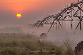 Center-pivot irrigation at Irkhaya Farms