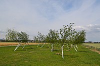 Der „Schiefer Wald“, der an die Schlacht bei Eschborn erinnern soll