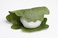 Kashiwa mochi, gemaakt van rijstmeel (joshinko)