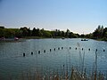 Kashiwanoha Park Boat Pond