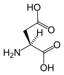 L-aspartic-acid-skeletal.png