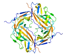 Protein CD47 PDB 2JJS.png