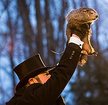 Photo du buste d'un homme de profil, portant un chapeau haut-de-forme, et tenant en l'air à bout de bras une marmotte.