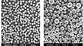 The SiO2 powder spheroidised by induction plasma (air plasma), output 15~20 kg/h