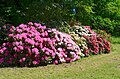 Rhododendronpark Hobbie