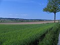 Limpachtal in der Gegend von Wengi