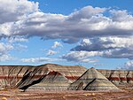 Petrified Forest