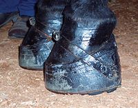 A horse's hoof, held onto a thick stack of pads with a band running over the top of the hoof.