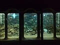 Una vasca dell'acquario di Napoli Anton Dohrn