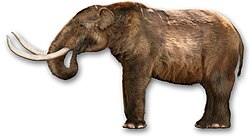 Mastodon (Mammut americanum) Grafik: Dantheman9758