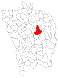 Location in Vaslui County