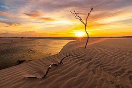 Coucher de soleil sur l'oasis Baixa Grande dans le parc national Lençóis Maranhenses.