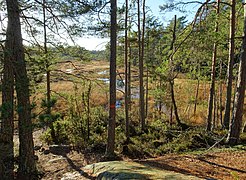 Tornbergssjön på hösten 2017.