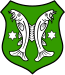 Blason de Saalfeld