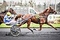 Victoire de Belina Josselyn et Jean Michel Bazire dans le Grand Prix de Belgique 2020.